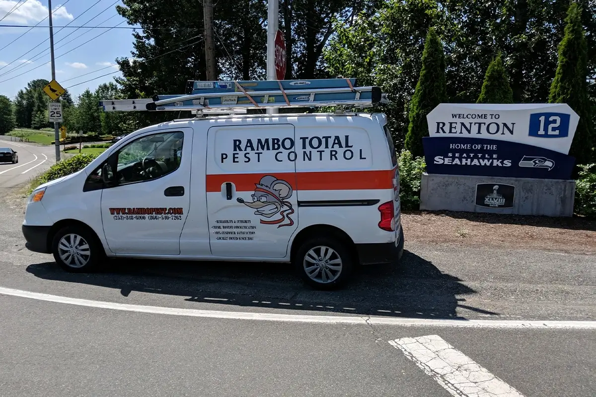 rambo pest services renton