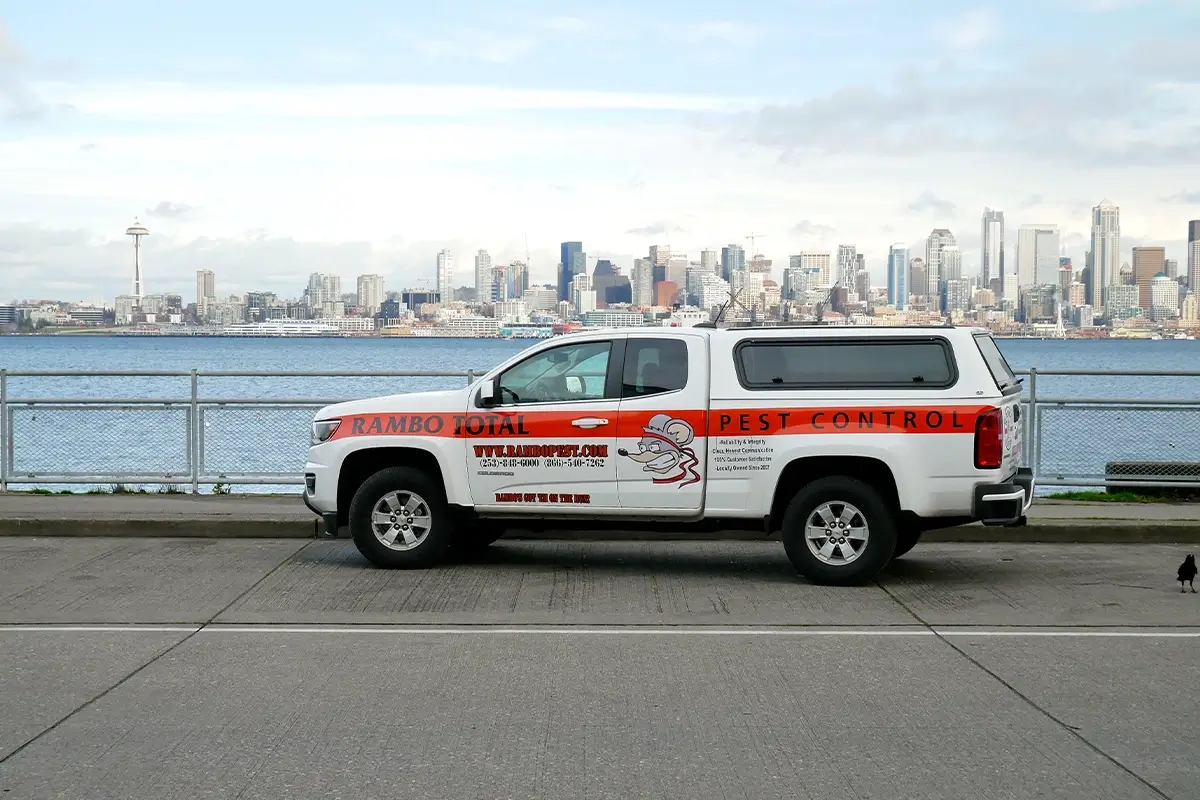 rambo pest services seattle